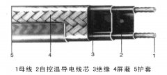 伴热带