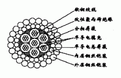 W7BPP-12.40改性聚丙烯绝缘分总屏蔽双钢丝铠装承荷探测电缆