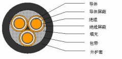 3*2.5，3*3，3*4，3*6，3*10，3*16，3*25屏蔽电缆结构图