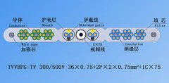 TVVBPG-TV 36*0.75+2P*2*0.75+1C*75扁平电梯电缆