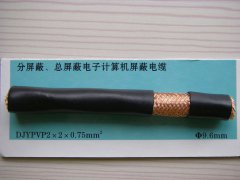 DJYPVP 2*2*0.75 分屏蔽、总屏蔽电子计算机屏蔽电缆