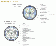 DJYPVP32,DJYP2V32,DJYVP2-32,DJYP2VP2-32钢丝铠装计算机电缆