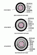 PTYA23、PTYA22铁路铠装信号电缆